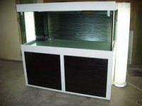 /album/ozlempetshop/images-3-jpg2/